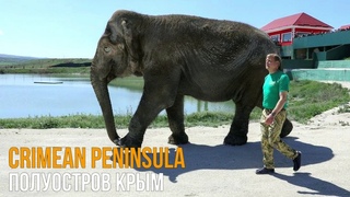 Elephant enclosure in the park. Вольер для слонов в парке “Тайган“ в Крыму
