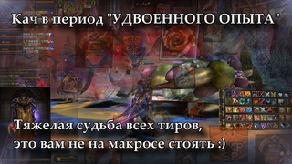 Кач или что происходит, когда идет период УДВОЕННОГО ОПЫТА. Lineage 2 Russia: Orfen, Айрин