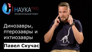 Как отличать древних ящеров: динозавры, птерозавры и ихтиозавры  палеонтолог Павел Скучас | Научпоп