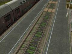 082: Platform Wierzchucin (0.30-5.8m) start1