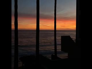 elsie_20200721_5.mp4