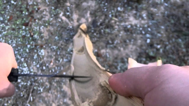 Hidden Floridas Bamboo Fire Saw How to HD Friction Primitive Fire