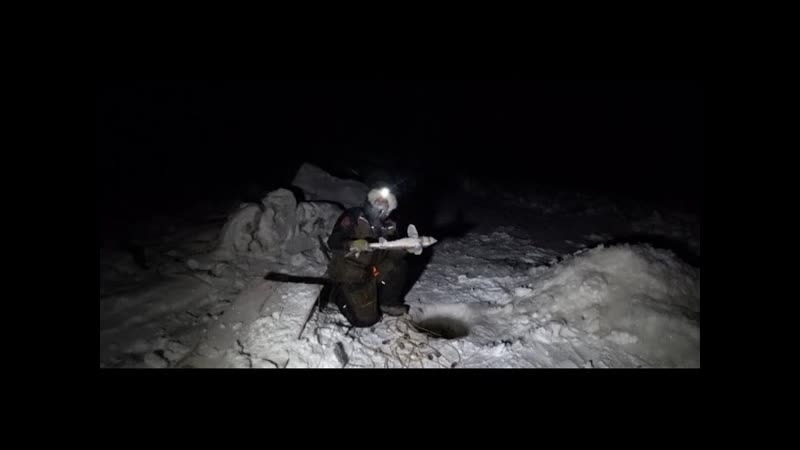 Поймал осетра на перемет в Якутии Дар Байаная