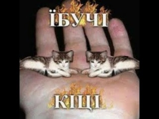 ЇБУЧI КIЦI (JERK/NEWJAZZ/JERSEYCLUB)