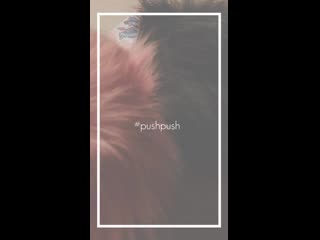 pushpush