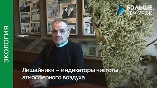 Лишайники — индикаторы чистоты атмосферного воздуха