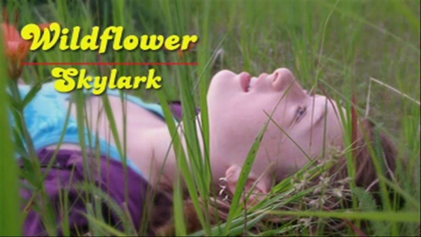 Wildflower Skylark