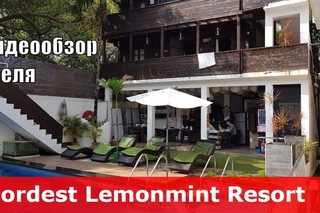 Nordest Lemonmint Beach Resort - отель 3 (Индия, Северный Гоа, Калангут). Видеообзор 2017