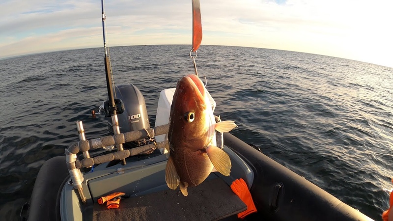 НА БАРЕНЦЕВОМ МОРЕ В ИЮЛЕ, ON THE BARENTS SEA IN