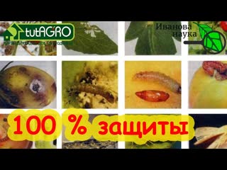 100 % ЗАЩИТЫ УРОЖАЯ БЕЗ ХИМИИ. Тур-КМЕ в созвездии BioDSO: от клеща, гусениц, плодожорок и колорада.