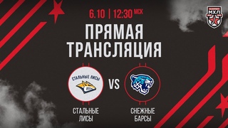. «Стальные Лисы» – «Снежные Барсы» | (OLIMPBET МХЛ 24/25) – Прямая трансляция