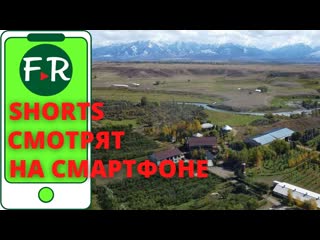 КФХ Рейна-Кенч. КРС, коневодство, овцеводство, садоводство, агротуризм