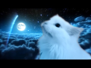 The Weeknd - Save Your Tears - Cat Cover