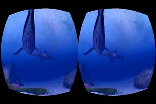 Oculus Rift Игры: Ocean Rift