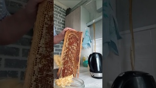 первая Качка мёда 2024г