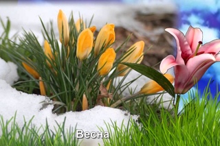 Учим времена года  Зима,весна, лето , осень для малышей