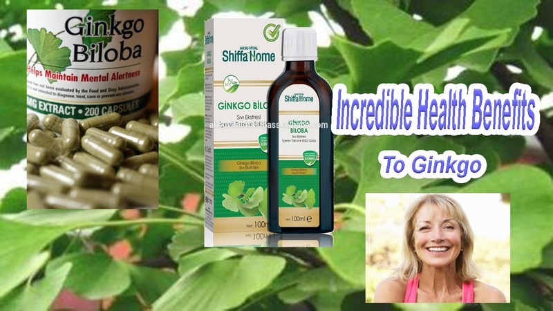 Miraculous Health Benefits To Ginkgo As Antioxidants, Cancer, Alzheimer And Impotence