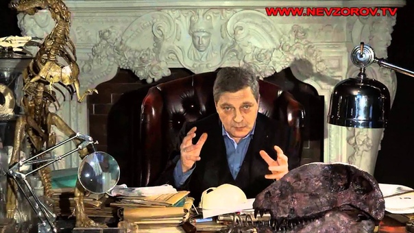 Невзоров. Ответ
