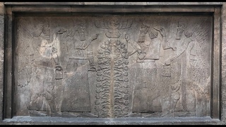 Плантации Миров 5