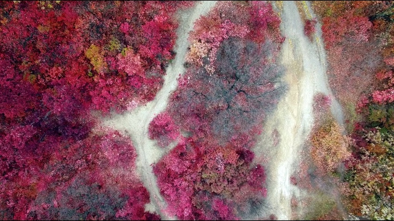 Anna B May Dreaming Atmospheric Electronic