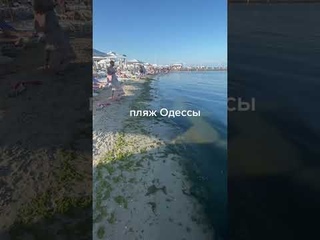 Состояние воды на пляже в Аркадии
