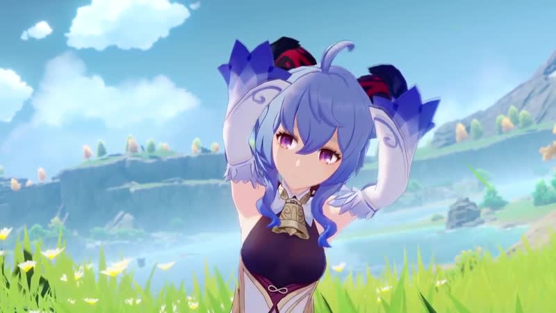 Mihoyo AAVA, ,