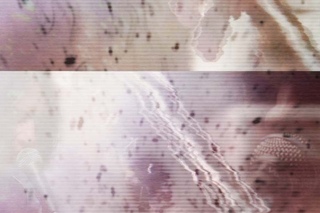 Placebo - Loud Like Love (Teaser)