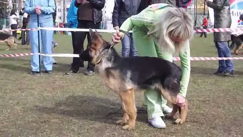 БЕБИ СУКИ, , Страна открывает