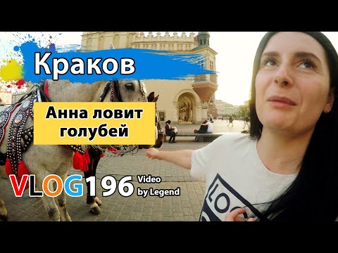 Новинки МакДональдс в Польше. Анна ловит голубей на площади