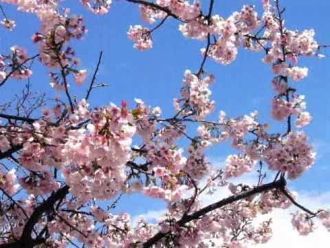 Hayk Melikyan plays Japanese Traditional Song