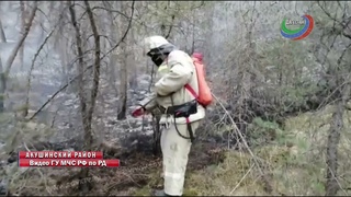 В Акушинского районе горят кустарники и сухая трава