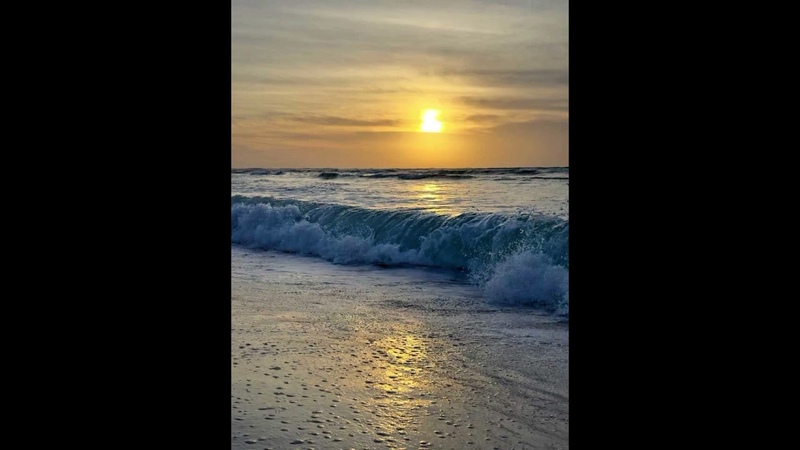 Morning Breeze: A Stroll On The