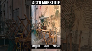 Marseille revolutionne la medecine avec les cellules souches