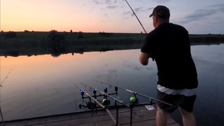 Рыбалка. Карповая рыбалка на водоеме Старорязанский!