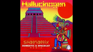 Hallucinogen - Shamanix (Domestic & Spacecat Remix)