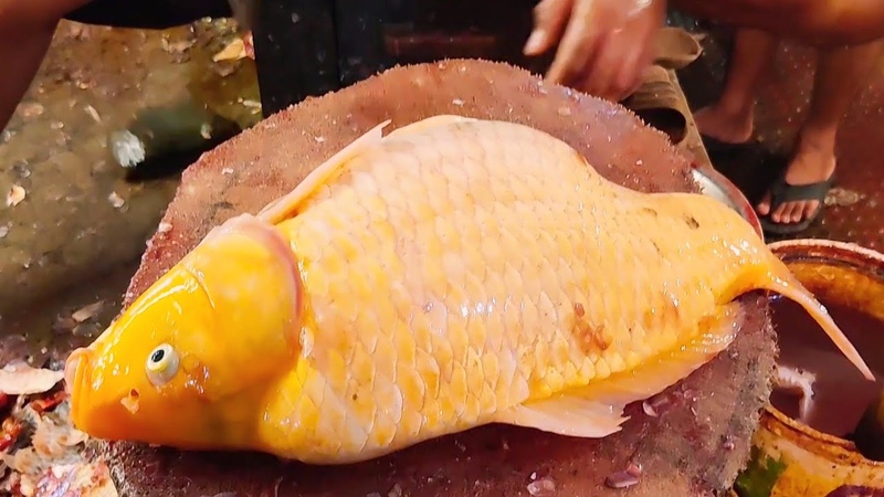 Looking Nice Amazing Carp Fish Cutting In Fish Market, Fish Cutting