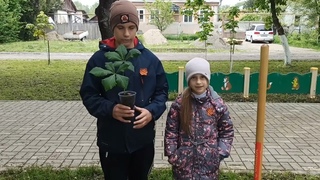 Участники акции «Дерево Победы» семья Чаловых