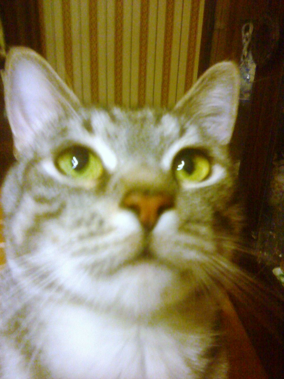 Мария Тихонова | Новосибирск