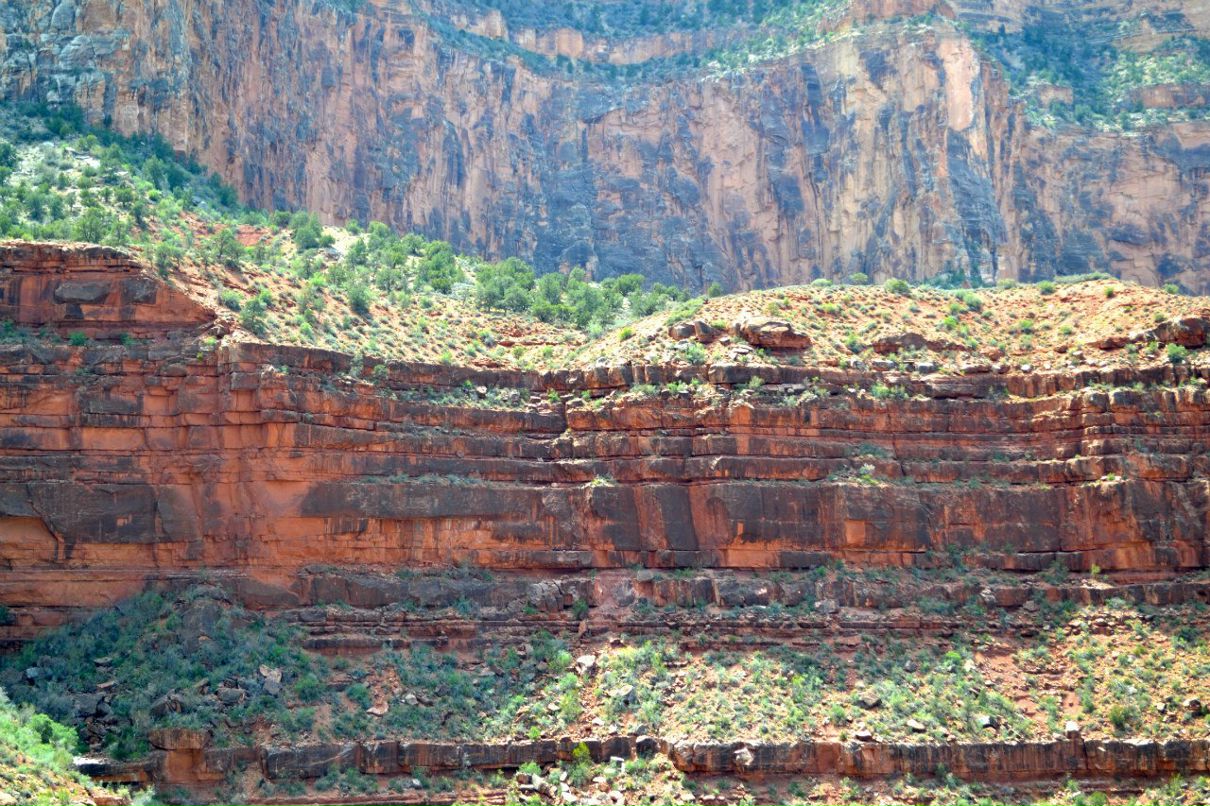 Наталья Корицкая | San Francisco