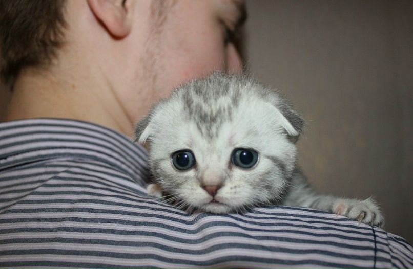 Владислав Журавлёв | Челябинск