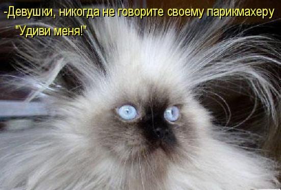 Валерия Шарыпова | Сосновоборск