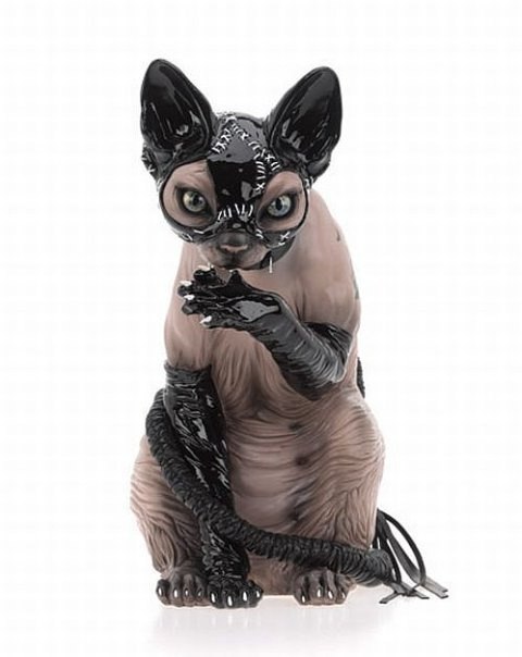 Андрей Козин | Киев