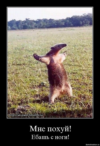 №112, Андрей Данилов, Genova №112, Андрей Данилов, Genova