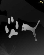 №15, Рома Борисов №15, Рома Борисов