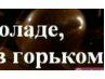 Никита Самойлов БОРОД@ | Набережные Челны