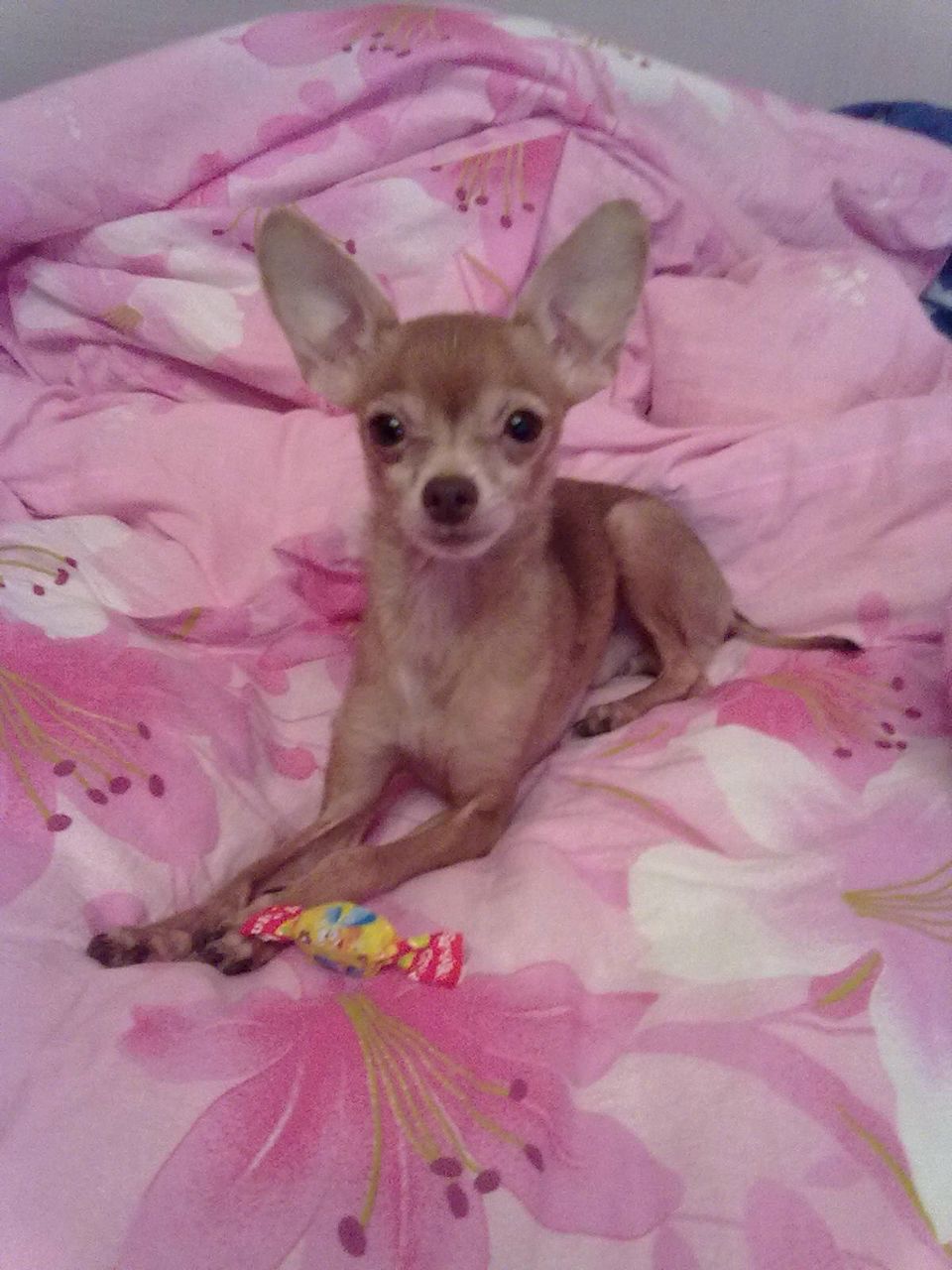 Ира Бабицкая | Миасс