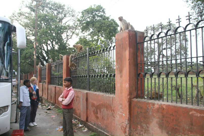 Андрей Белоусов | Санкт-Петербург