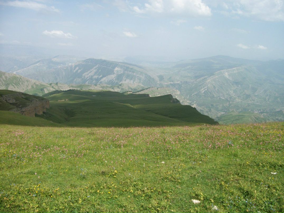 Мурад Магомедов /espan/ | Махачкала