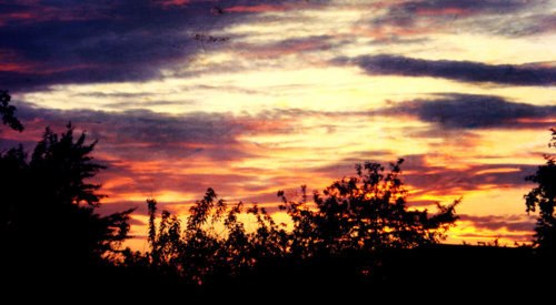 №180, Jane Gallaher №180, Jane Gallaher