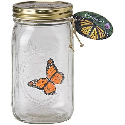 Алина Иванова | Калининград